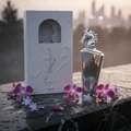 Maahir Legacy Lattafa edp silver horse fragrance marble table surrounded flowers rain city