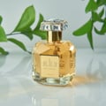 Sutoor Lattafa edp glass bottle green leaves white reflective surface table